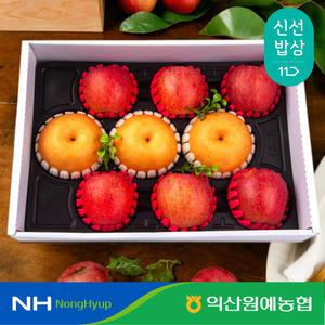 [익산원예농협] 과일 혼합 프리미엄 명절 선물 세트 4kg 특 사과6과 배3과