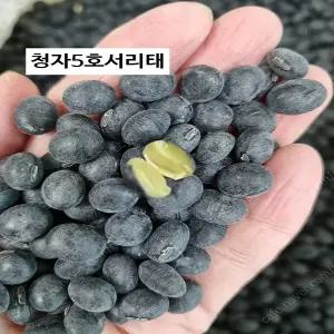 검정콩청자5호서리태콩 2kg