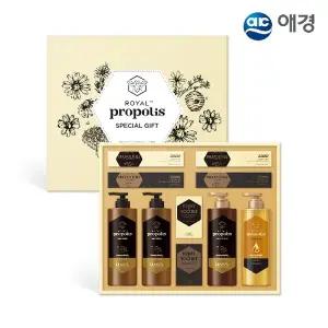 [애경] 허니프로폴리스 선물세트 (손잡이케이스/ 샴푸2+트리트먼트1+바디워시1+클렌징바2+치약4)