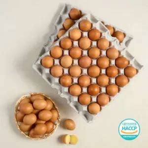 [HACCP인증]구운계란 대란 60구(30구x2판)