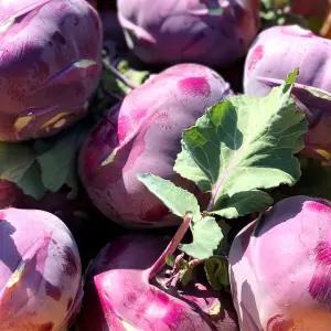 제주 프리미엄 콜라비(혼합과) 10kg