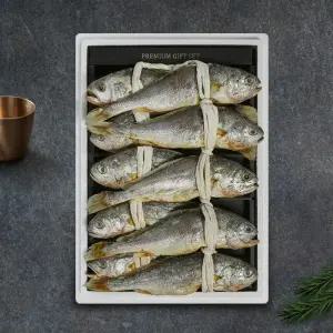 [오늘의굴비]영광법성포 부세보리굴비 명품세트 10미(특대/30-32cm)