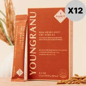 영라뉴 리셋 발아 카무트 효소 브랜드 밀 14포 X12