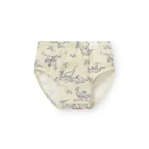 [롯데백화점]오르시떼 남아동 G209 디노라인그린 브리프 OR25ABBRG209