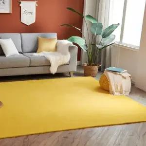 까드리아  올데이 컬러 러그 (200x250cm)  극세사 단모 워셔블 거실 카페트