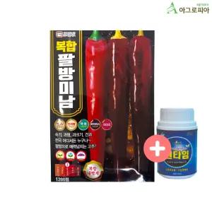 팔방미남 1200립 복합내병계 고품질 대과 바른씨드 고추 씨앗 종자 씨