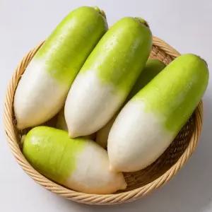 국내산 제철 햇무 제주 월동무