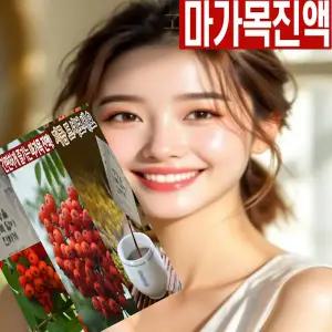 마가보감 프리미엄 마가목진액 마가목열매 마가목나무 가래 기침 해소 _ 추출물 1박스 25개