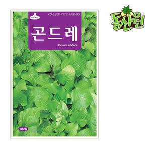 곤드레씨앗 100립 곤드레나물 종자 나물 민속씨앗