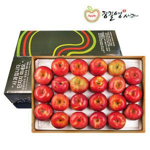 장길영 알뜰사과 중소과 5KG (17-23과) 청송사과 산지발송