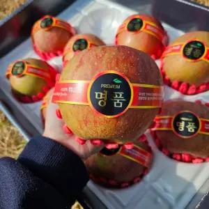 프리미엄 사과선물세트 명절장수사과선물 5KG 1박스