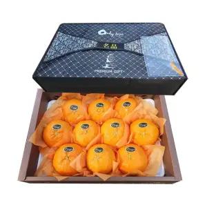 제주 서귀포 레드향 5kg 선물세트 (고급포장)