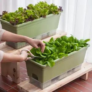 [2개] 15L 텃밭화분 상추키우기 대파키우기 플라스틱 저면관수 베란다텃밭 홈가드닝