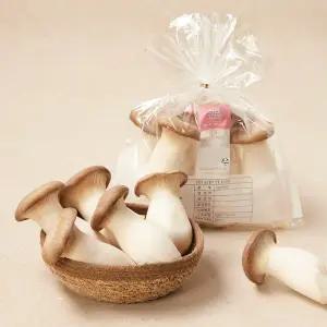 새송이버섯 (300g*2)