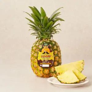 필리핀산 감숙왕 허니팟 파인애플 1.6kg