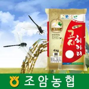 2025년햅쌀/고시히카리/8Kg(4Kgx2개)/조암농협