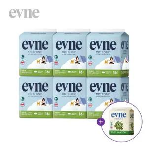 [킨도][이브네] 코트니 순면감촉 생리대 중형 16Px6팩(증정-유기농대형14P)
