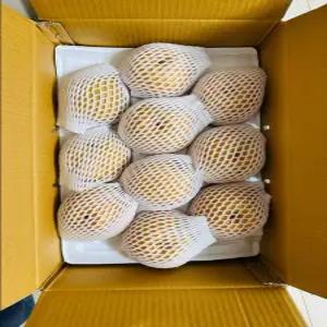 울산배 신고배 7.5kg(8-10과 가정용)