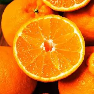 달콤한 제주 서귀포 하우스 가온 고당도 한라봉 2kg(12-15과)/소과/수량2개 구매시 4.5kg발송