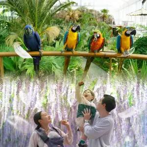 경기 가평 베고니아 새정원 입장권/동물원/테마파크/가평여행/가족나들이/아이와가볼만한곳/아이와함께