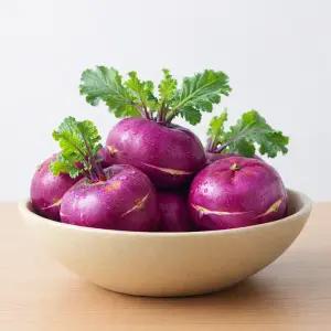 제주 아삭달큰 콜라비 못난이 10kg 샐러드용