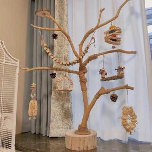 앵무새 횃대 나무 금화조 앵무새발목링 건조 10m 앵무새횃대 애완조 마끈 새장천장용