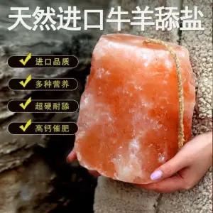 염소소금 미네랄블럭 농장 한우 큐브 염소 벽돌 소금 5kg