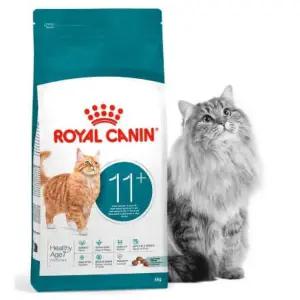로얄캐닌 캣 에이징 11+ 4kg