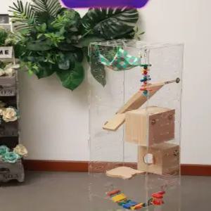 슈가글라이더 사육장 피그미다람쥐 하우스 케이지