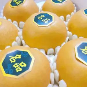 설선물세트 배선물세트 나주배 7.5kg 7-10과 1박스 과일