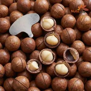 까먹는 통 껍질 마카다미아 1kg 견과류