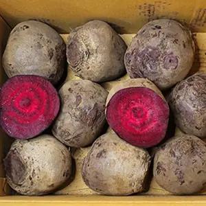 [아침이슬농원] 제주 뿌리부터 건강한 레드비트 실속 가정용 3kg