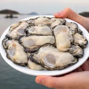 생굴 깐굴 통영굴 여수굴 깐석화 최상급 5kg