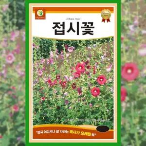 [파머씨드]접시꽃 씨앗 1kg 꽃씨 종자 야생화 관상용 다년생 텃밭