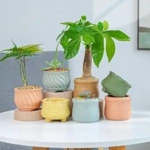 인테리어 다육이 화분 세라믹 미니 6종 세트