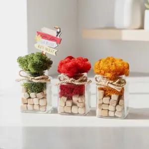 꽃순이 스칸디아모스 천연 이끼 화분 공기정화식물 습기제거