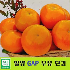 밀양얼음골단감 정품5kg 직접생산판매 GAP,저탄소 인증단감