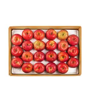 [롯데백화점]장길영사과 [장길영사과] 사과 알뜰 중소과 10kg(33-46과)