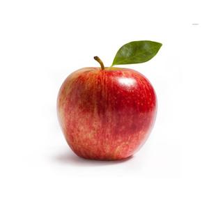 TEST 유기농 햇사과 5kg/10kg