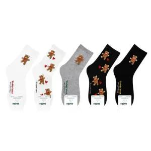 탁텔곰돌이 여성양말 5매세트