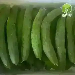 오이 취청오이 상 10kg