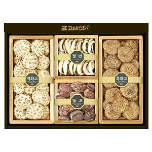 [표고아빠]국산 참나무표고버섯 선물세트(햇살1호)