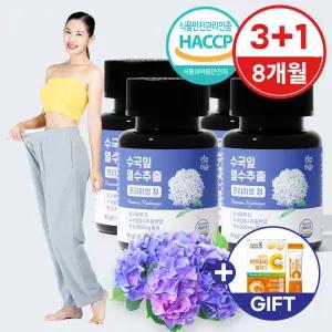 수국잎 열수 추출물 수국 효능 국내산 프리미엄 정 4병(8개월분)