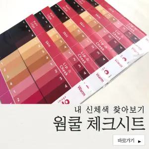 [특허실용신안] 퍼스널컬러 웜쿨체크시트 10세트