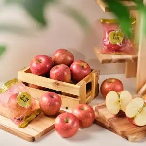 순수 부사 세척사과 실중량 5kg 꼬마소과