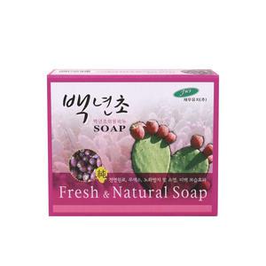 케이티 백년초 미용비누 85g /천연원료 무색소 보습효과