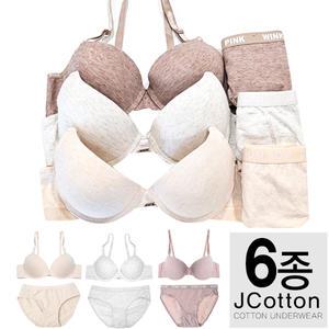 베이직 브라팬티 6종세트 주니어3단계브라팬티