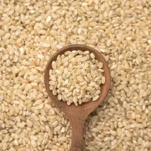 2025년 햇곡 국산 현미 5kg