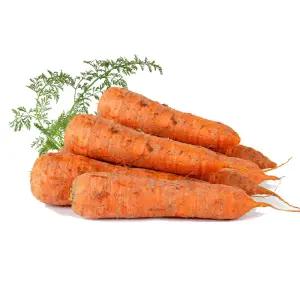 [아침이슬농원] 제주 구좌 흙당근 5kg(상)