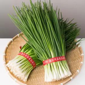 국내산 깐쪽파 3kg/ 황토밭 영양 가득담아 맛과 향이진한 손질쪽파